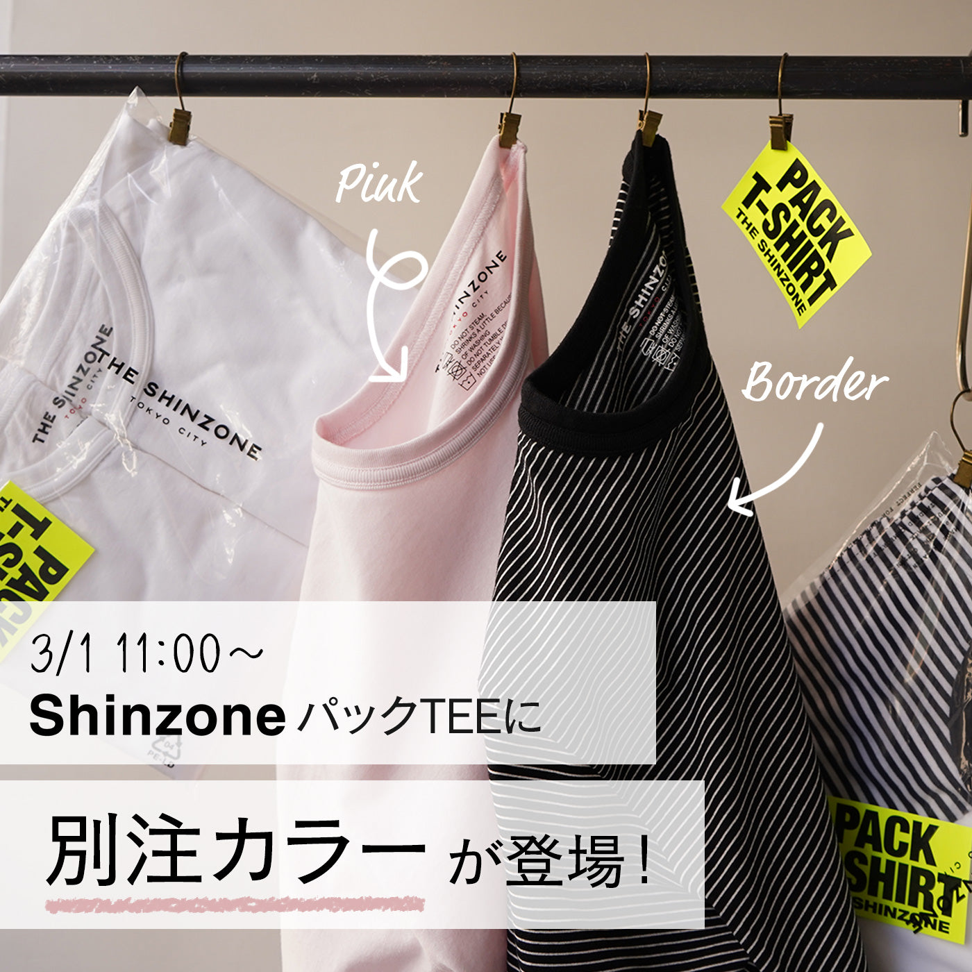 NEWS】Shinzone大人気パックTEEの【別注カラー】登場！｜ROCOCO ONLINE