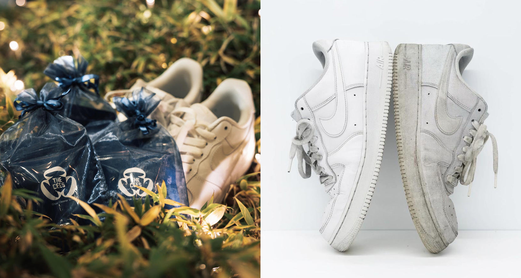 THE CEES|ザ シーズ|WOMENS