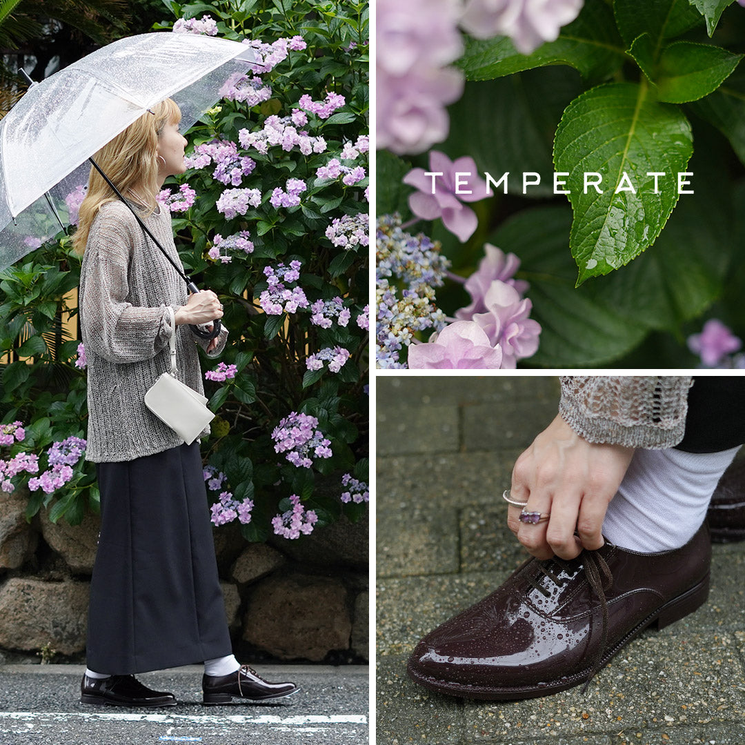 TEMPERATE(テンパレイト)OSTERA レースアップ マニッシュシューズ