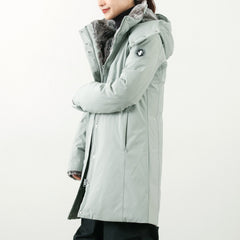 ice-gray / 1