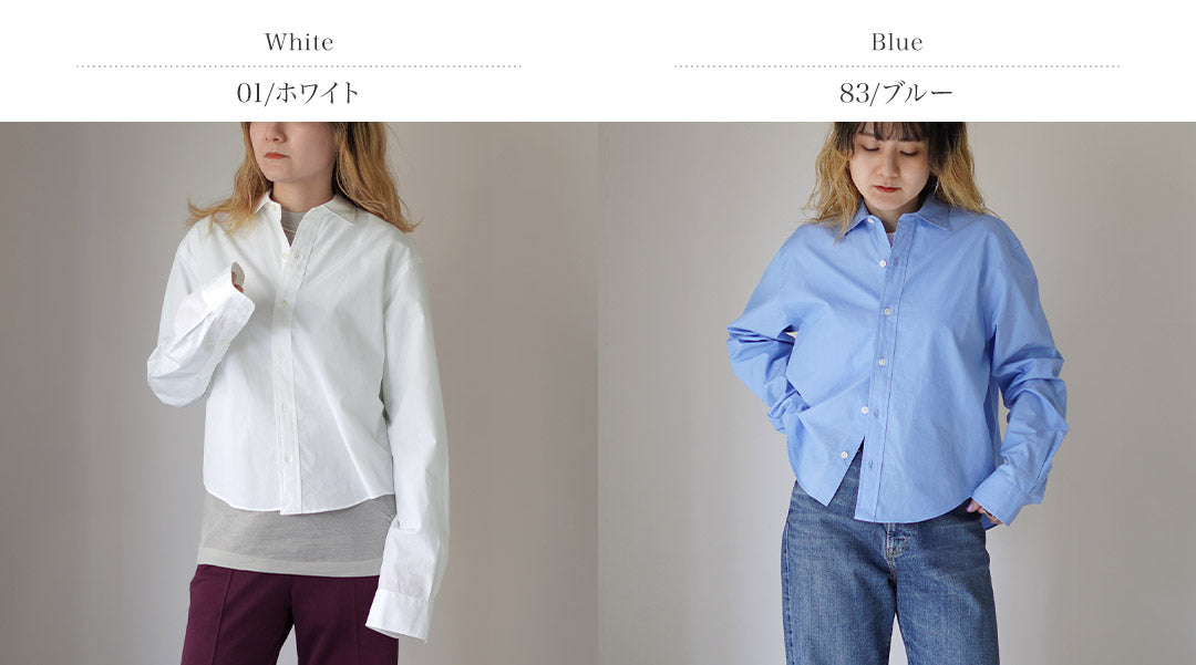 SHINZONE(シンゾーン)