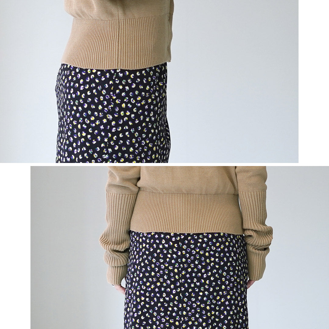 SHINZONE(シンゾーン)