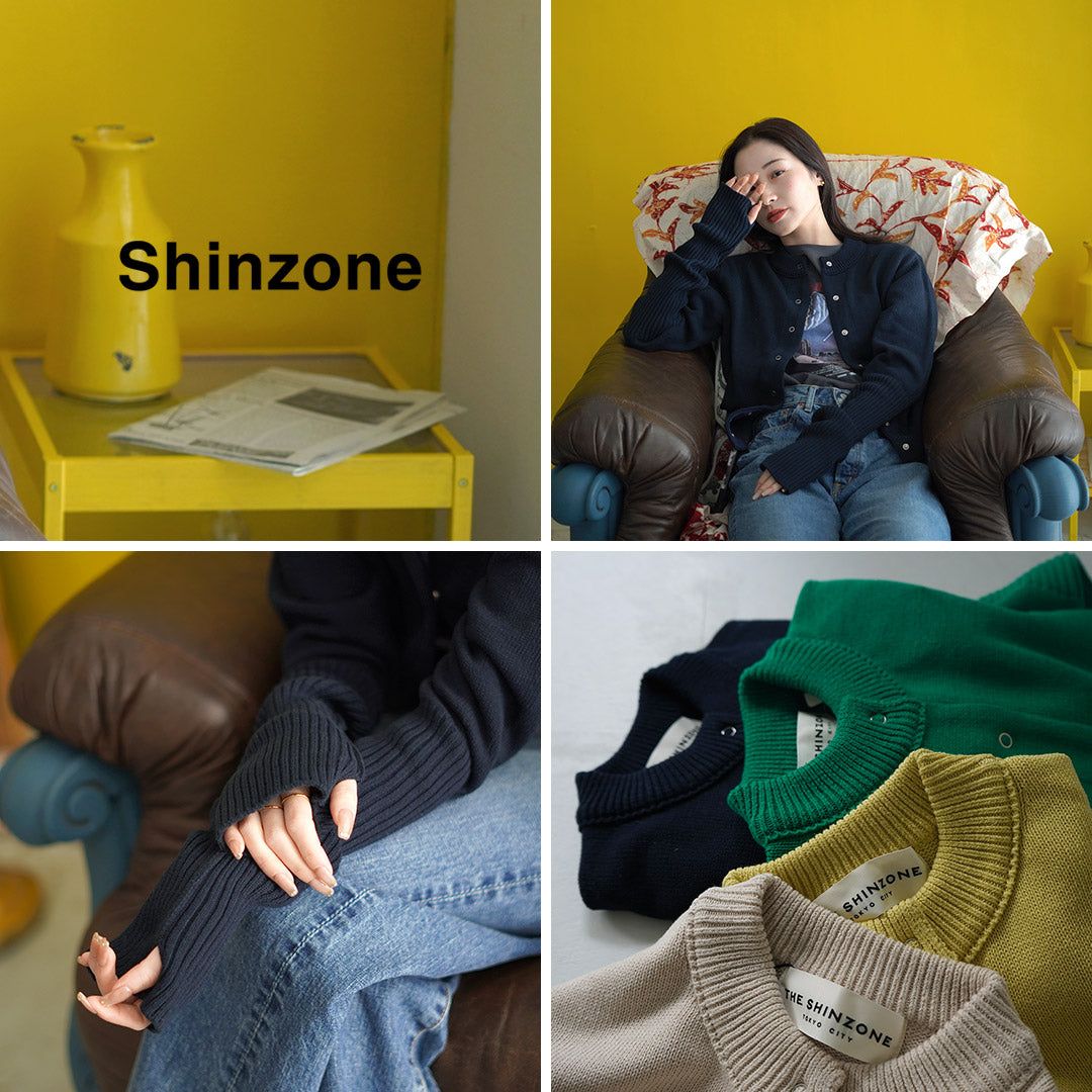 SHINZONE(シンゾーン)
