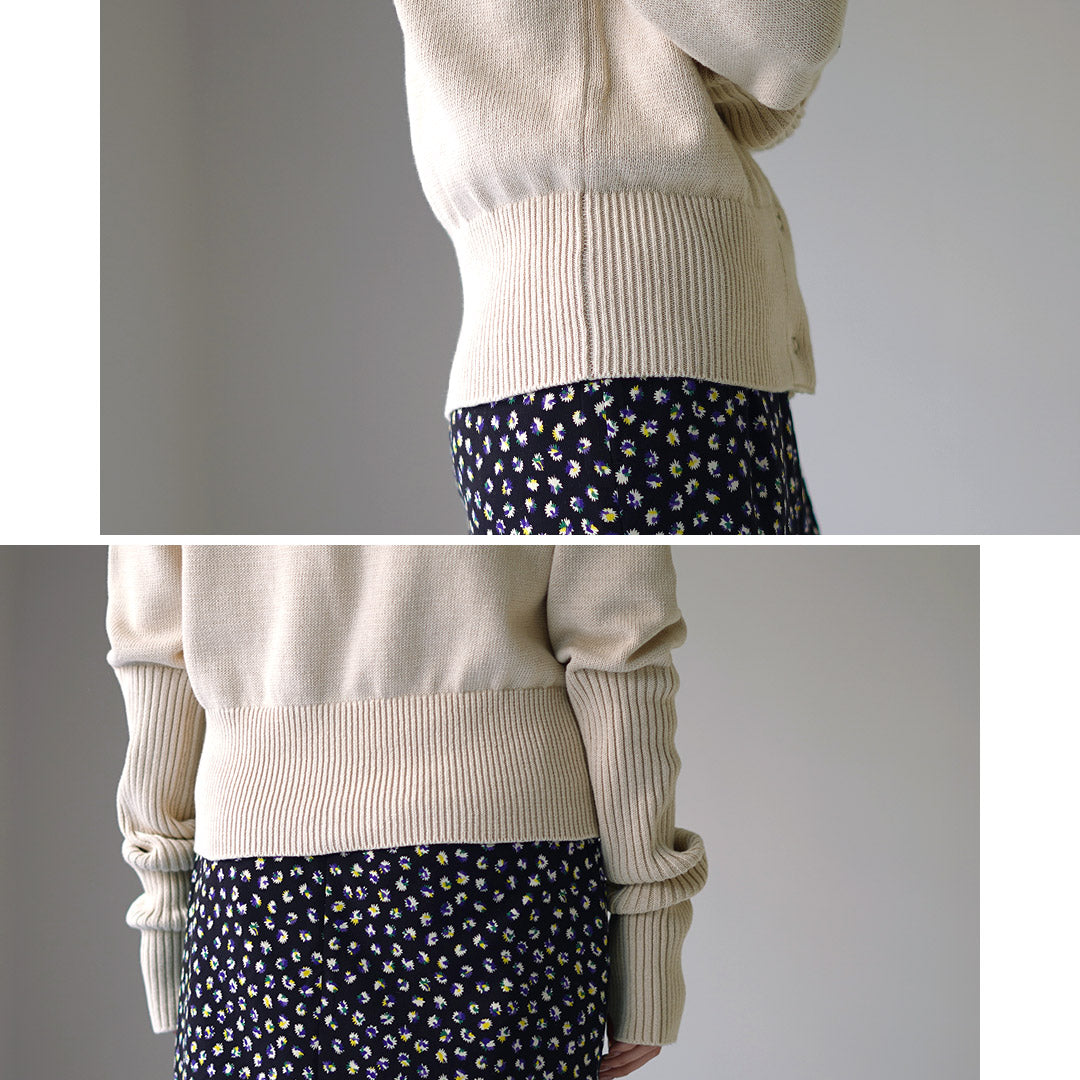 SHINZONE(シンゾーン)