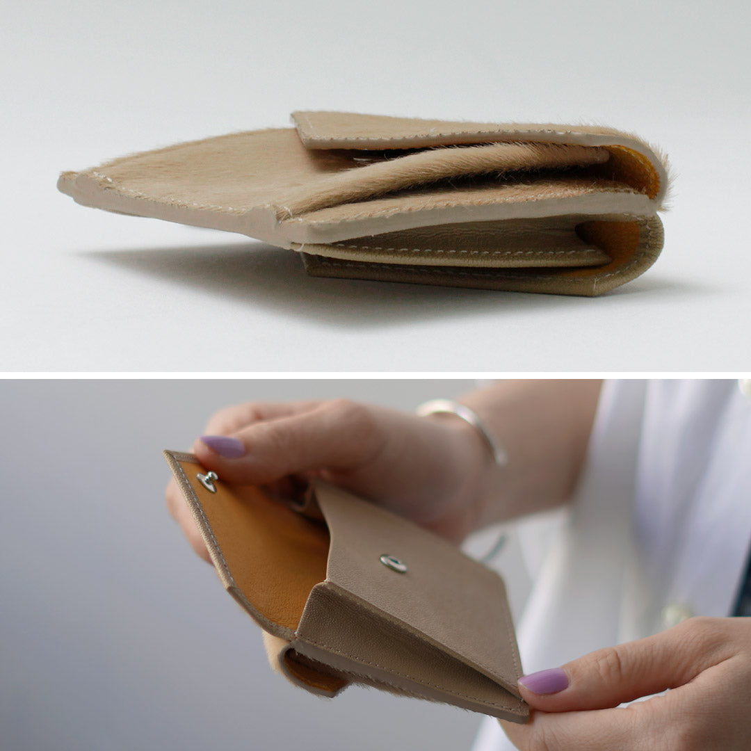 SHINZONE(シンゾーン)