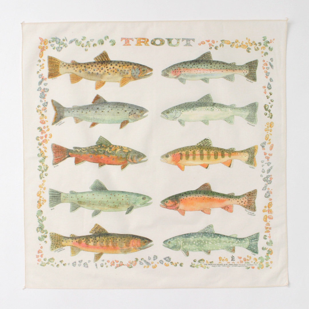 THEPRINTEDIMAGE(ザプリンテッドイメージ)