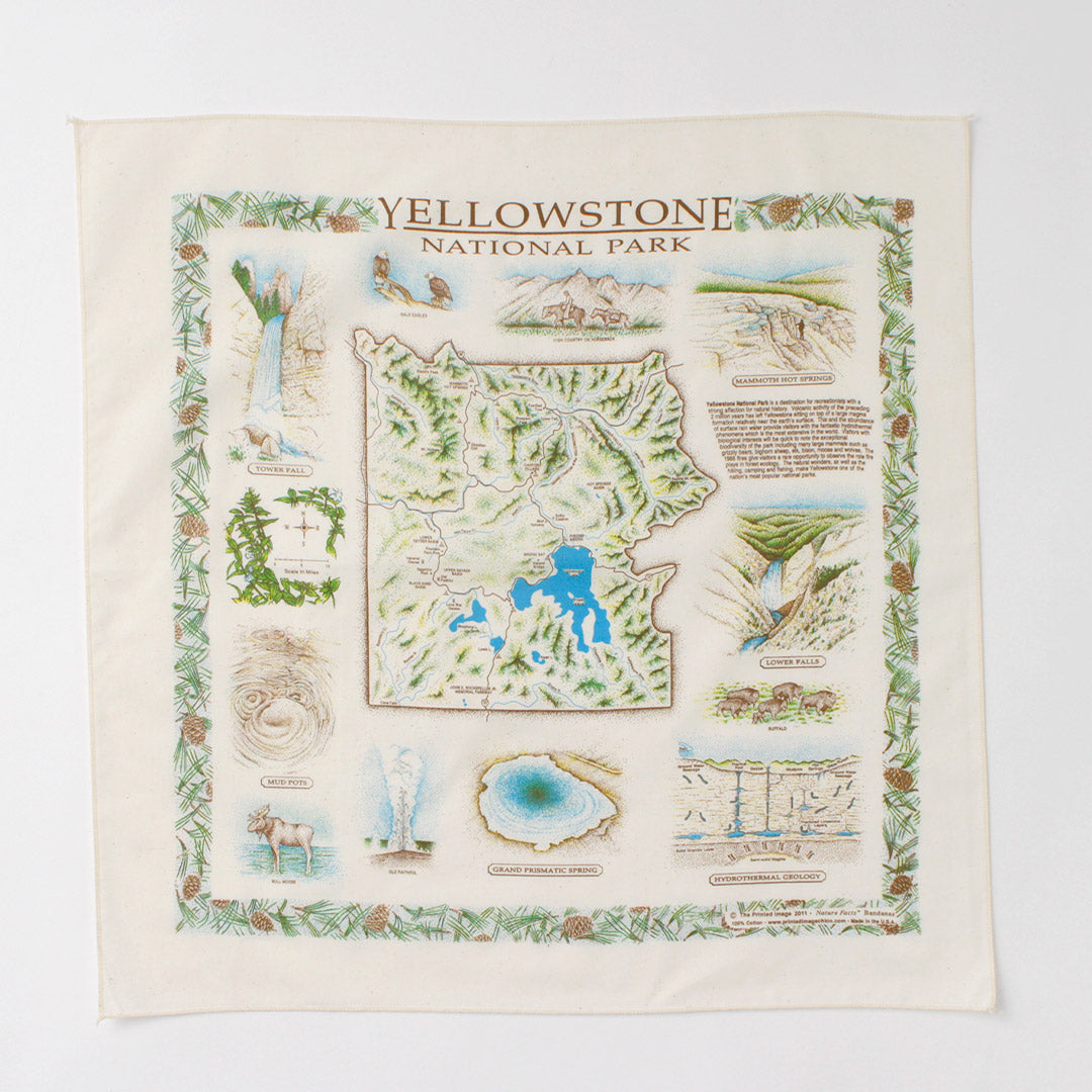 THEPRINTEDIMAGE(ザプリンテッドイメージ)