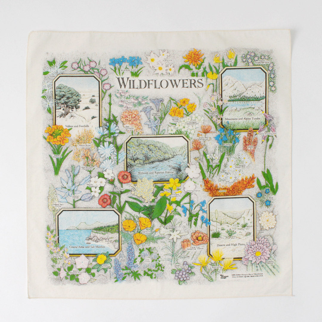 THEPRINTEDIMAGE(ザプリンテッドイメージ)