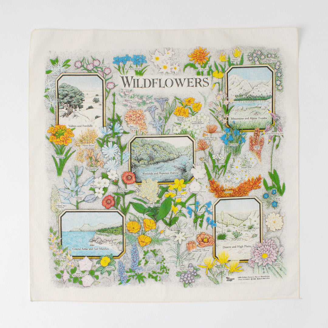 THEPRINTEDIMAGE(ザプリンテッドイメージ)