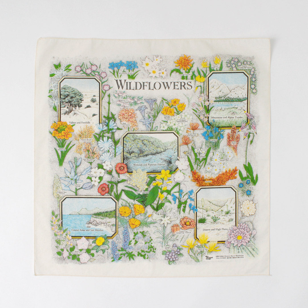 THEPRINTEDIMAGE(ザプリンテッドイメージ)