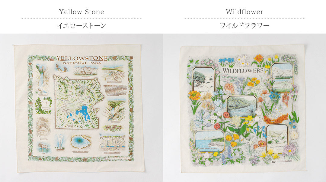 THEPRINTEDIMAGE(ザプリンテッドイメージ)