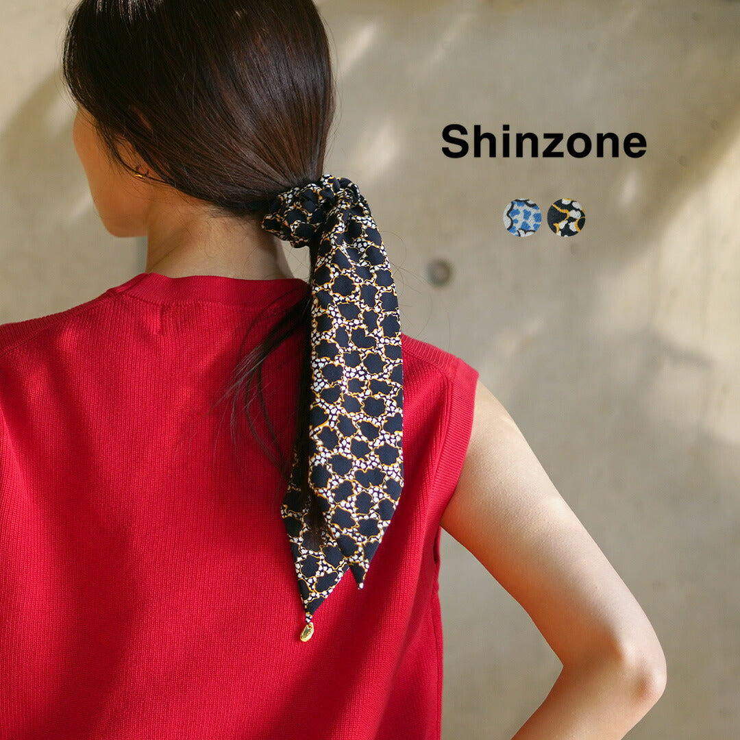 SHINZONE(シンゾーン)