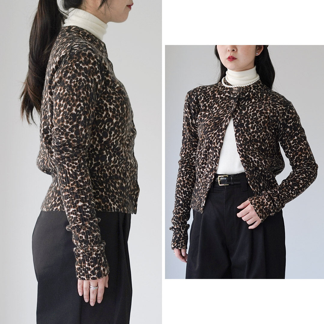 SHINZONE(シンゾーン)