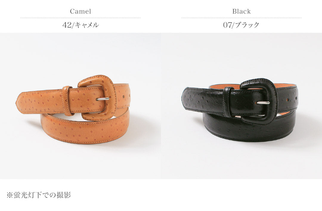 SHINZONE(シンゾーン)