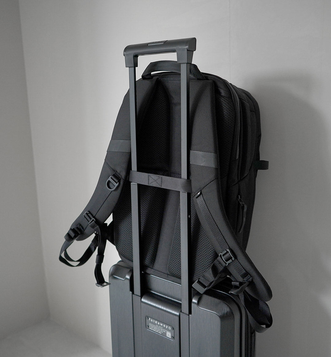 AER(エアー) シティパック プロ2 20L バックパック