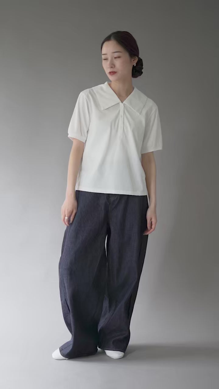 mizuiro ind（ミズイロインド） ワイドカラー ポロシャツ / カットソー