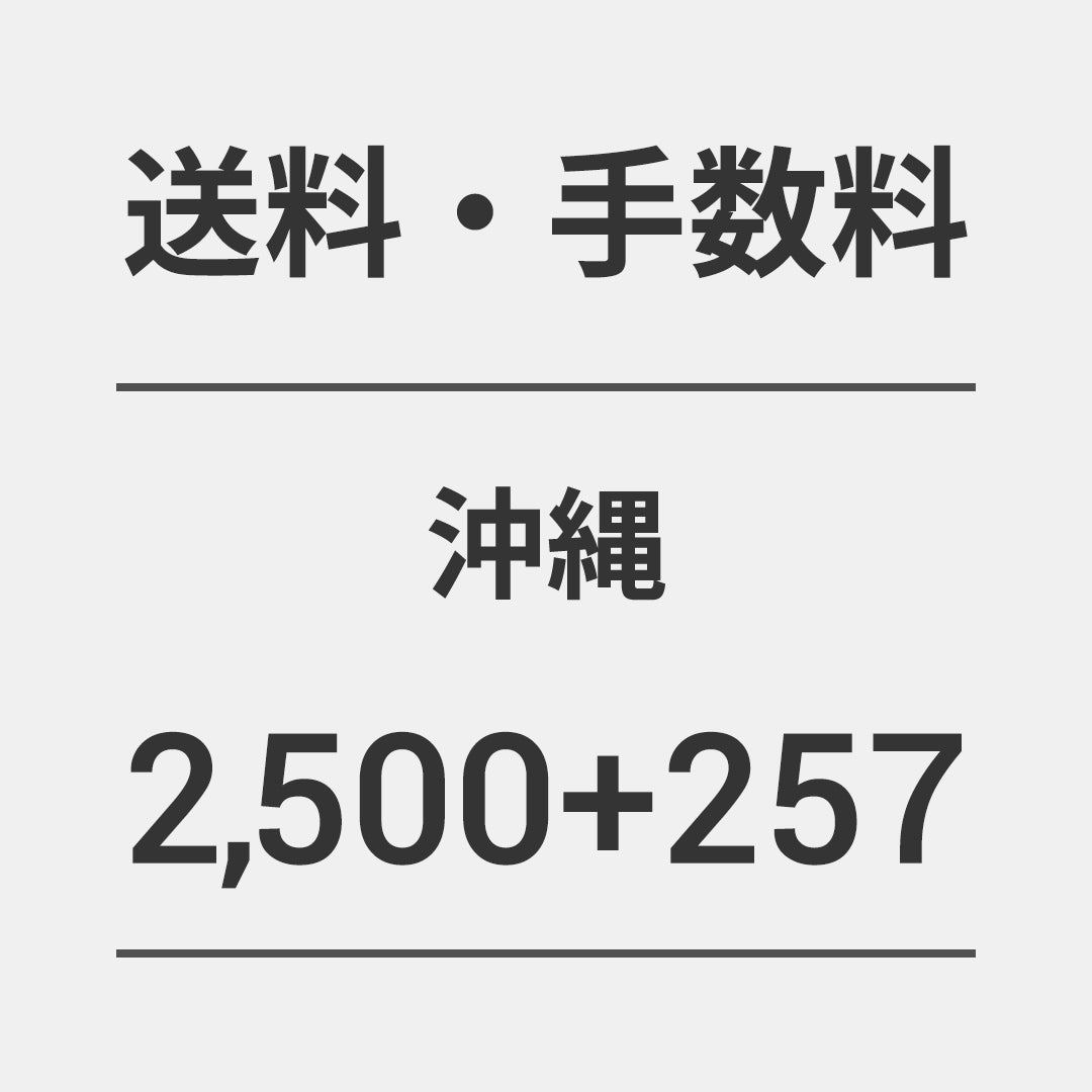 送料2500円・手数料257円
