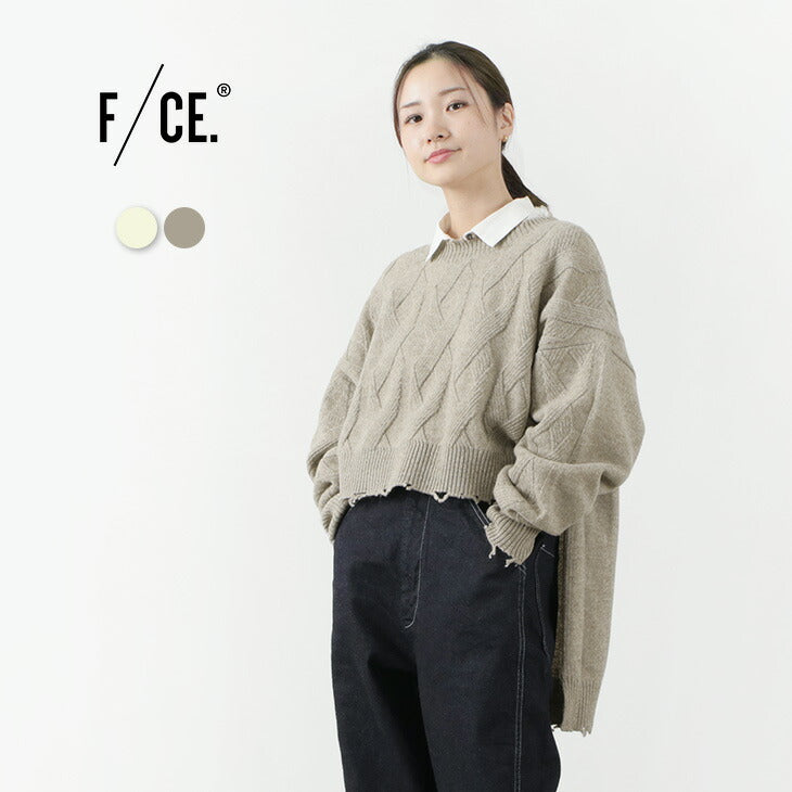 F/CE