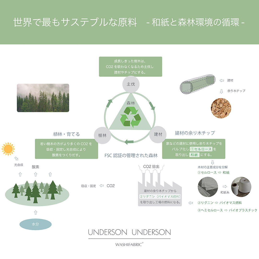 UNDERSON UNDERSON（アンダーソン アンダーソン） ナチュラル キープ ブラ / レディース インナー アンダーウェア 下着 ブラジャー ノンワイヤー 和紙