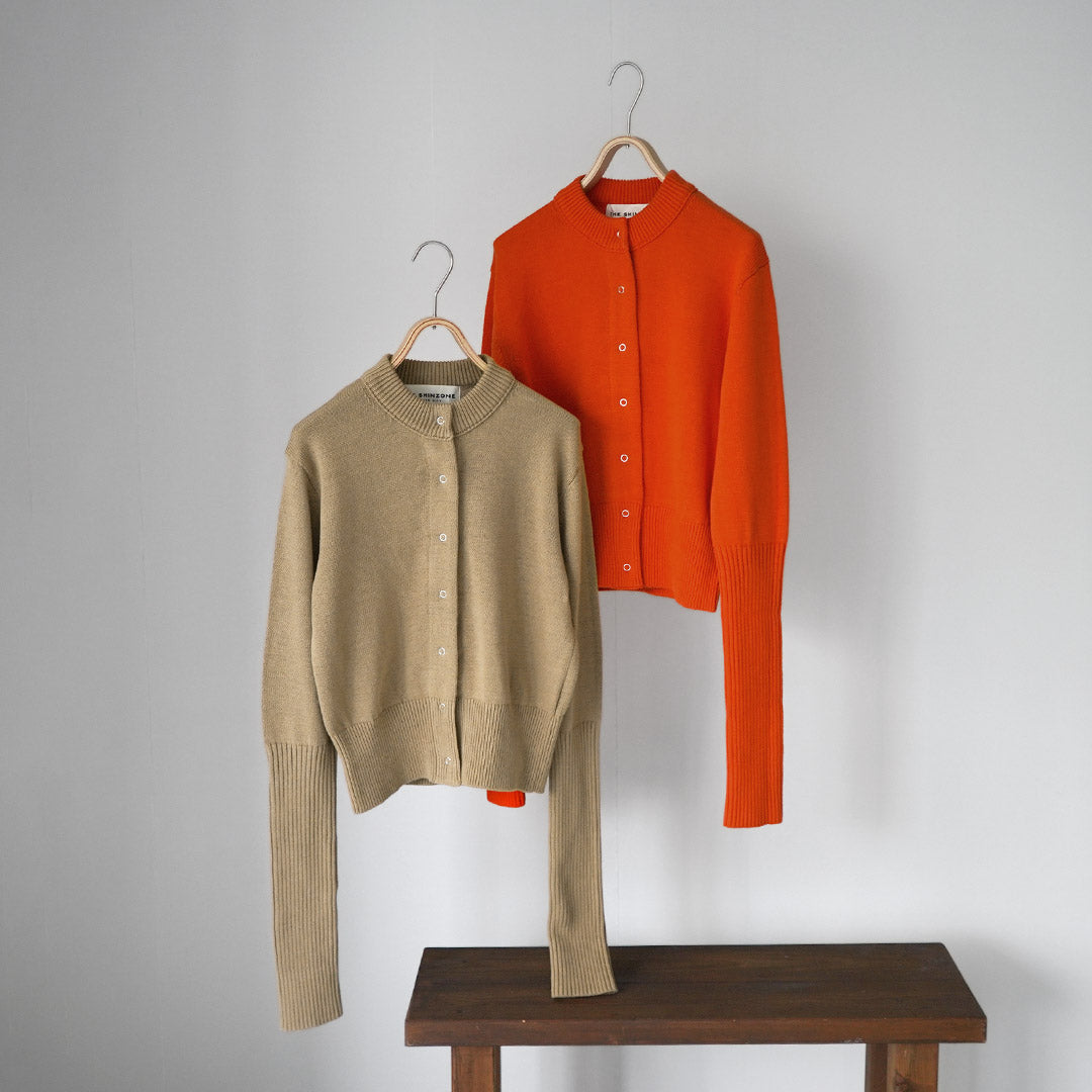 SHINZONE（シンゾーン）