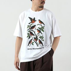 white / 1