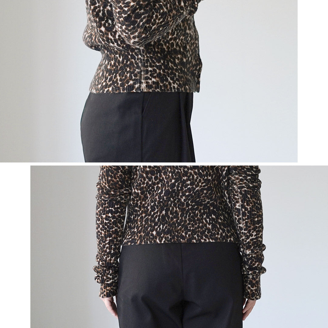 SHINZONE（シンゾーン）