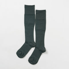 darkgreen / F