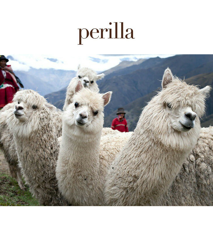 PERILLA